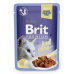 Brit Premium Cat D Fillets in Jelly with Beef 85g
