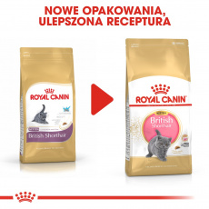 Royal Canin British Shorthair Kitten suché krmivo pro kočky 2 kg Kotě Drůbež, Rýže, Zeleninová