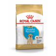 ROYAL CANIN SHN Breed Labrador Junior suché krmivo pro psy - 12 kg.