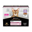 PURINA Pro Plan Delicate Digestion Turkey - mokré krmivo pro kočky - 10x85g