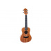 Arrow MH10 Mahogany Concert Ukulele w/bag - koncertní ukulele s pouzdrem