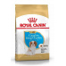 Royal Canin Breed Kavalír King Charles Junior 1,5kg