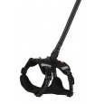 Szelki dla psa z smyczą 2m CLIP&GO czarna S Zolux