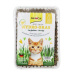 Gimpet Tráva pro kočky Hy-Grass 150g