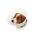 Límec ochranný BUSTER neprůhledný Classic Collar 20cm