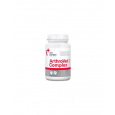 VetExpert ArthroVet HA Complex 90 tbl