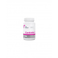 VetExpert CardioVet 90 tbl