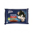 Nestlé FELIX Fantastic cat Multipack kura s rajčinami & hovädzie s mrkvou želé kapsička 4x85 g