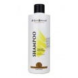 San Bernard Šampon citrónový 500ml
