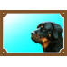 Tabulka Tady hlídám! Rottweiller 1ks 