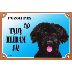 Barevná cedulka Pozor pes, Briard černý