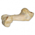 Hovězí kost bílá - extrudovaná 1 ks/36 cm
