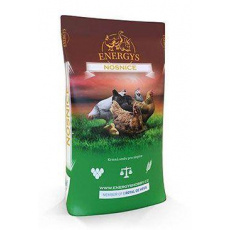 Krmivo pro kuřata ENERGYS MIDI granulované 10kg