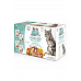 Brit Care Cat Fillets in Gravy Steril. Flav.Box 1020g