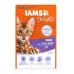 Iams Cat Kitten kuře v omáčce kapsa 85g