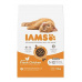 Iams Cat Kitten Chicken 10kg