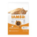 Iams Cat Senior Chicken 10kg