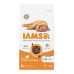 Iams Cat Kitten Chicken 2kg
