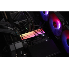 Kingston Technology FURY Beast RGB paměťový modul 64 GB 2 x 32 GB DDR5 3000 MHz