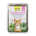 Gimpet Tráva pro kočky s luční vůní Katzen-Gras 150g