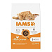 Iams Cat Adult Chicken 10kg