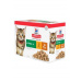 Hill's Fel. SP Kitten Chicken&Turkey kapsa 12x85g