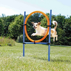AGILITY kruh proskakovací AGILITY kruh proskakovací