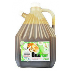 Gelapony Fast Biosol 3000ml Gelapony Fast Biosol 3000ml