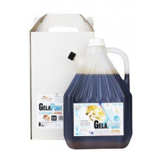 Gelapony Chondro Biosol HYAL 3000ml Gelapony Chondro Biosol HYAL 3000ml
