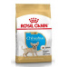 Royal Canin Breed Čivava Junior 1,5kg