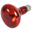 Infrared Heat Spot-Lamp red (RP 2,10 Kč)