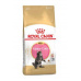 Royal Canin Breed  Feline Kitten Maine Coon 400g