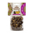 Herbs Kořen celý echinacea 45g