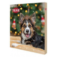 Adventní kalendář pro psy 380g TR