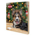 Adventní kalendář pro psy, 30x34x3,5cm TRIXIE