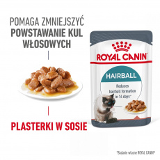 ROYAL CANIN Hairball Care Mokré krmivo pro kočky Kousky v omáčce 12x85 g