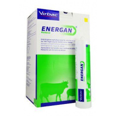 Energan Ketose 12x300g Energan Ketose 12x300g