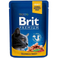 BRIT Premium Cat Salmon&Trout - mokré krmivo pro kočky - 100g