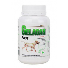 Gelacan Fast 150g