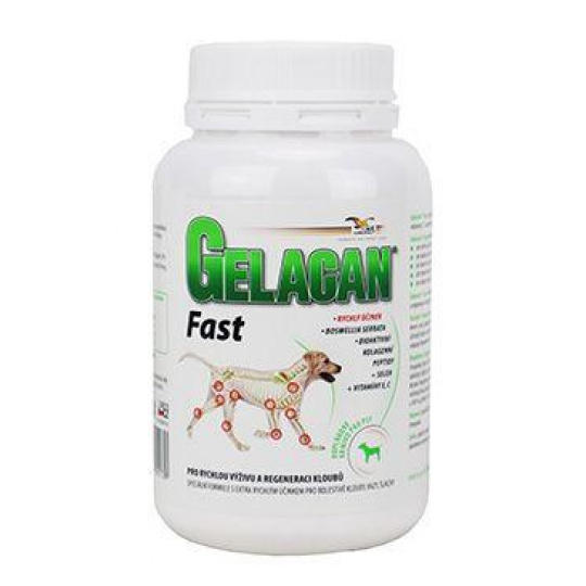 Gelacan Fast 150g