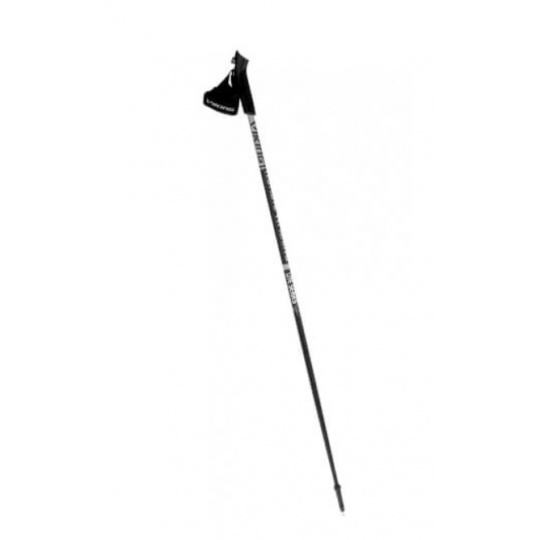 Nordic Walking Lite Pro 105cm vikingské hole stříbrno-černé