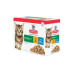 Hill's Fel. SP Kitten Chicken&Ocean Fish kapsa 12x85g