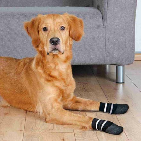 Protiskluzové ponožky černé, 2 ks pro psy bavlna/lycra