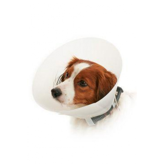 Límec ochranný BUSTER neprůhledný Classic Collar 20cm