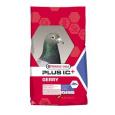 VL Plus I.C. Gerry pro holuby 20kg
