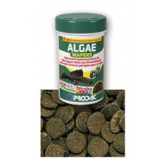 Krmivo pro ryby Prodac Algae Wafers 50g Krmivo pro ryby Prodac Algae Wafers 50g