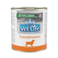 Vet Life Natural DOG konz. Convalescence 300g