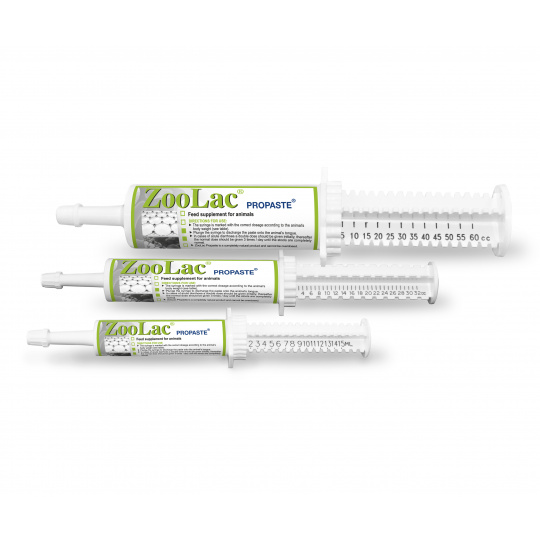 ZooLac Pro Paste 32ml
