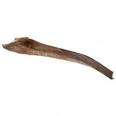 Papah wood - palmový list 50-65 cm pro plazy na lezení (6ks) Papah wood - palmový list 50-65 cm pro plazy na lezení (6ks)
