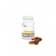 VetExpert VetAminex pro psy a kočky 60cps (Twist off)